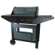 COOK IN GARDEN - Barbecue gaz - Burn - AM253T