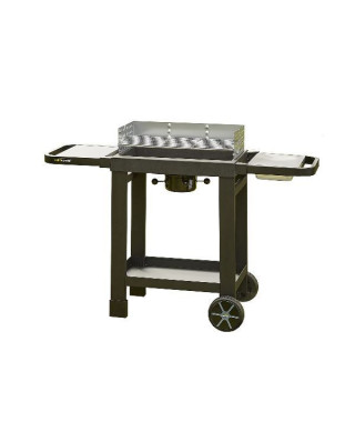 COOK IN GARDEN - Barbecue charbon - Easy 60 - CH042T