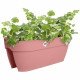 Pot de fleurs - ELHO - Vibia Campana Flower Bridge 60 - Rose - L 26 x B 59 x H 22 cm - Balcon/Extérieur - 100% recyclé