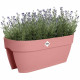 Pot de fleurs - ELHO - Vibia Campana Flower Bridge 60 - Rose - L 26 x B 59 x H 22 cm - Balcon/Extérieur - 100% recyclé