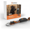 Collier GPS pour chien - WEENECT Chien XT - Antenne XL - Etanche - Collier Julius-K9 - Fonctionne avec abonnement - Orange
