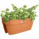 Pot de fleurs - ELHO - Vibia Campana Flower Bridge 60 - Marron - L 26 x B 59 x H 22 cm - Balcon/Extérieur - 100% recyclé