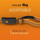 Collier GPS pour chien - WEENECT Chien XT - Antenne XL - Etanche - Collier Julius-K9 - Fonctionne avec abonnement - Orange