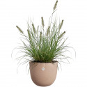Pot de fleurs - ELHO - Sereh Rond 40 - Marron - Ø 39 x H 33 cm - 100% recyclé