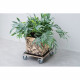 Nature Chariot a plantes carré 38x38 cm noir bois 446407