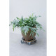 Support de pot roulant carré - NATURE - En bois FSC - Charge maxi 250 kg