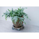 Support de pot roulant carré - NATURE - En bois FSC - Charge maxi 250 kg