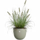Pot de fleurs - ELHO - Sereh Rond 30 - Vert - L 30 x B 29.5 x H 25 cm - 100% recyclé