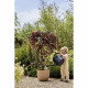 Pot de fleurs - ELHO - Sereh Rond 30 - Marron - L 30 x B 29.5 x H 25 cm - 100% recyclé