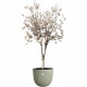 Pot de fleurs - ELHO - Sereh Rond 47 - Vert - Ø 47 x H 40 cm - 100% recyclé
