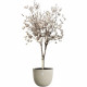 Pot de fleurs - ELHO - Sereh Rond 47 - Beige - Ø 47 x H 40 cm - 100% recyclé