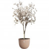 Pot de fleurs - ELHO - Sereh Rond 47 - Marron - Ø 47 x H 40 cm - 100% recyclé