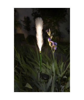 Décoration lumineuse  - GALIX - G4515 - Energie solaire : Plumeau