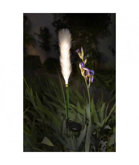 Décoration lumineuse  - GALIX - G4515 - Energie solaire : Plumeau