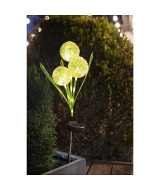 Décoration lumineuse - GALIX - G4510 -  Energie solaire : Fleurs
