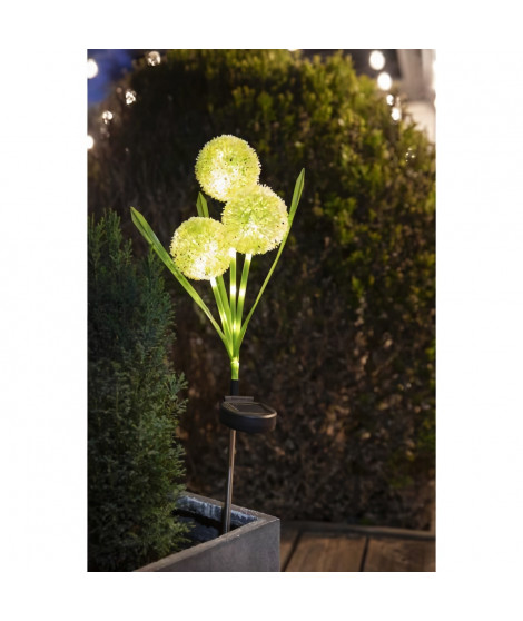 Décoration lumineuse - GALIX - G4510 -  Energie solaire : Fleurs