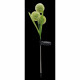 Décoration lumineuse - GALIX - G4510 -  Energie solaire : Fleurs