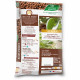 Billes d'argile - OR BRUN - OBRPARG6U - 6L - Favorise le drainage