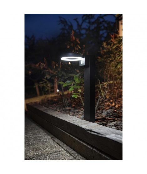 Borne solaire - GALIX - G4590B - Tres éclairante - Inox (option Applique) avec détecteur - H50 cm - 1000 Lumens