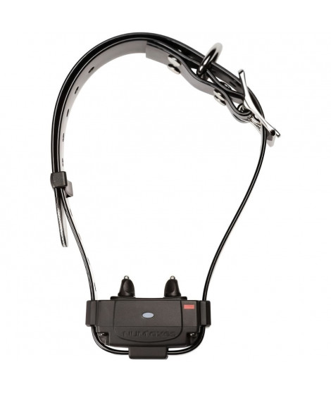 Collier anti-fugue - NUM'AXES - CANIFUGUE FUG1034 - Noir