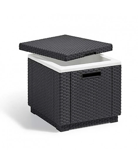 Keter Pouf de rangement Cube Graphite 213816 422801