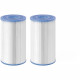 Lot de 2 cartouches - INTEX - Pour Pure SPA S2