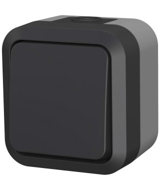 Poussoir - QUARX - Aqua Pro - Extérieur, 250V, 10A, IP55, conforme NF