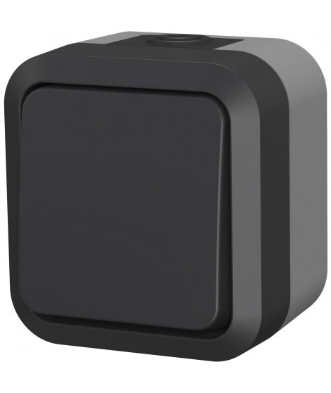Poussoir - QUARX - Aqua Pro - Extérieur, 250V, 10A, IP55, conforme NF