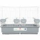 Cage d'élevage oiseaux - Zolux - Primo Cati - Pour canari mandarin - 57 x p34.5 x 41 cm - Blanc et gris