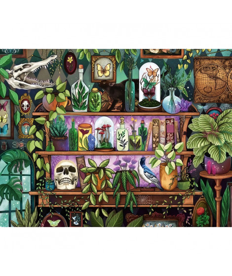 Puzzle 2000 pieces, Des 14 ans, Bibelots et objets de sorciere, Puzzle de qualité premium fabriqué en Europe, Plantes, 12001416