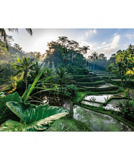 Puzzle 2000 pieces Au coeur de Bali, Adultes et enfants des 14 ans, Collection Évasion, 12001518, Nathan