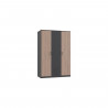 Armoire de chambre - AGIA - Graphite - 3 portes battantes - 2 tiroirs - 135 x 199 x 58 cm