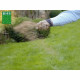 Gazon - BHS - Gazon Rustique 3 KG-Jardins Traditionnels - Tous Types de Sol - Dense, Esthétique - Installation Rapide & Durable