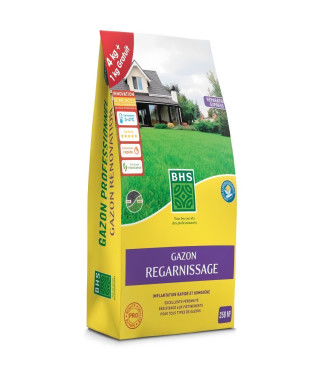 Gazon - BHS -  Gazon Regarnissage 5kg
