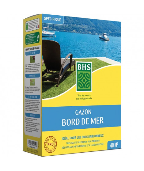Gazon - BHS - Gazon Bord de Mer 1kg | 40m² | Résistant vent, sécheresse, salinité | Beau gazon d'été, esthétique et robuste.