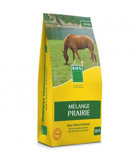 Gazon - BHS - Mélange Prairie 5kg | 500m² | Pour zones extensives et pâturage | Installation rapide, résistant, sans entretien.