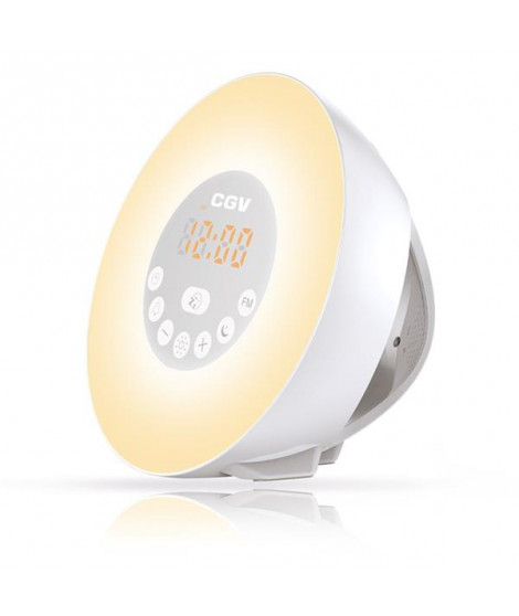 CGV - Radio-réveil 13027