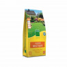 Gazon - BHS - Gazon Rustique - 5kg - Jardins Traditionnels - Tous Types de Sol - Dense, Esthétique - Installation Rapide & Du…