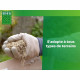 Gazon - BHS - Gazon Rustique 20kg, pour jardins traditionnels et tous types de sols. Dense, esthétique, rapide et durable.