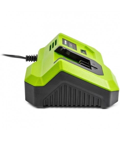Chargeur rapide - FIELDMANN - Pour batterie 20V - Charge 2Ah en 30 min - Compatible 2Ah, 4Ah, 8Ah