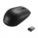 Lenovo 300 Noir Souris sans Fil