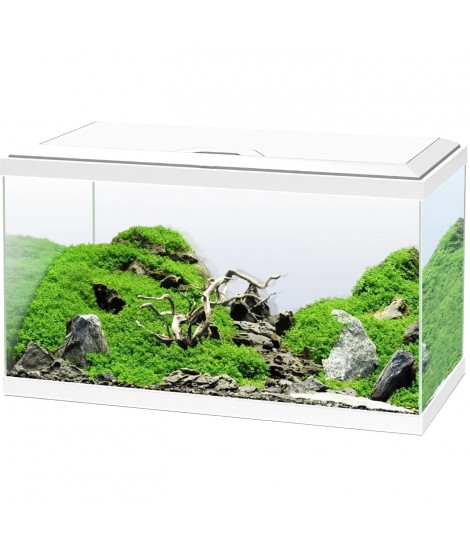 Aquarium 60 - CIANO - 58 L + Filtre + LED + Chauffafe + Consommable - Blanc