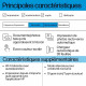 HP ENVY 6530e All-in-One - imprimante multifonctions - couleur