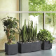 Pot de fleur Cube - DEROMA - Millennium R - Anthracite - A réserve d'eau - 25 cm