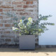 Pot de fleur Cube - DEROMA -  Millennium R - Ashgrey - A réserve d'eau - 25 cm
