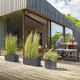 Jardiniere Muret - DEROMA - Millennium R - Anthracite - A réserve d'eau - 59 cm