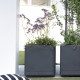 Pot de fleur Cube - DEROMA- Cosmo - Anthracite - A réserve d'eau - Roulettes - 38 cm