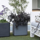 Pot de fleur Cube - DEROMA - Cosmo -  Ashgrey - A réserve d'eau - Roulettes - 38 cm