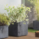 Pot de fleur Cube - DEROMA - Millennium R - Anthracite - A réserve d'eau - Roulettes - 49 cm