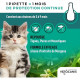 VETOCANIS Pipettes Anti Puces, Tiques, Moustiques, pour Chat - 2 pipettes